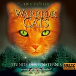 Stunde der Finsternis