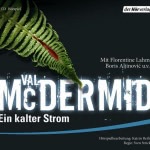 Ein kalter Strom