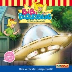 Ufos über Neustadt Hörbuch