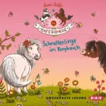 Schmetterlinge im Ponybauch (Die Haferhorde 4) Hörbuch