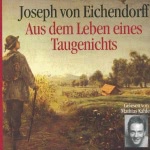 Aus dem Leben eines Taugenichts Hörbuch