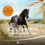 Ostwind: Auf der Suche nach Morgen (Ostwind 4)