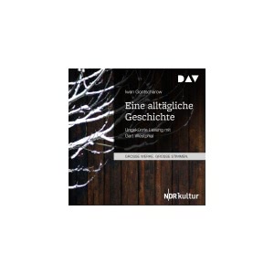 Eine alltägliche Geschichte Hörbuch