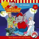 Benjamin hat Zahnweh (Benjamin Blümchen 35)