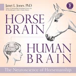 Horse Brain, Human Brain
