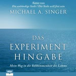 Das Experiment Hingabe  Hörbuch