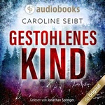 Gestohlenes Kind  Hörbuch