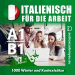 Englisch für die Arbeit A1/B1  Hörbuch
