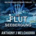 Die Flut  Hörbuch