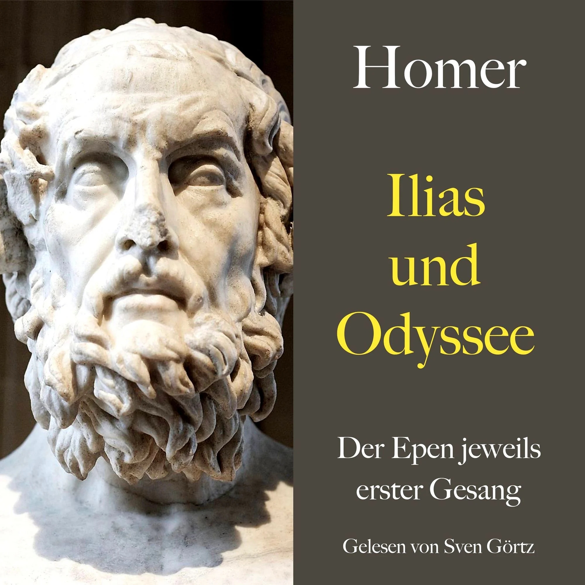 Die Odyssee Hörbuch
