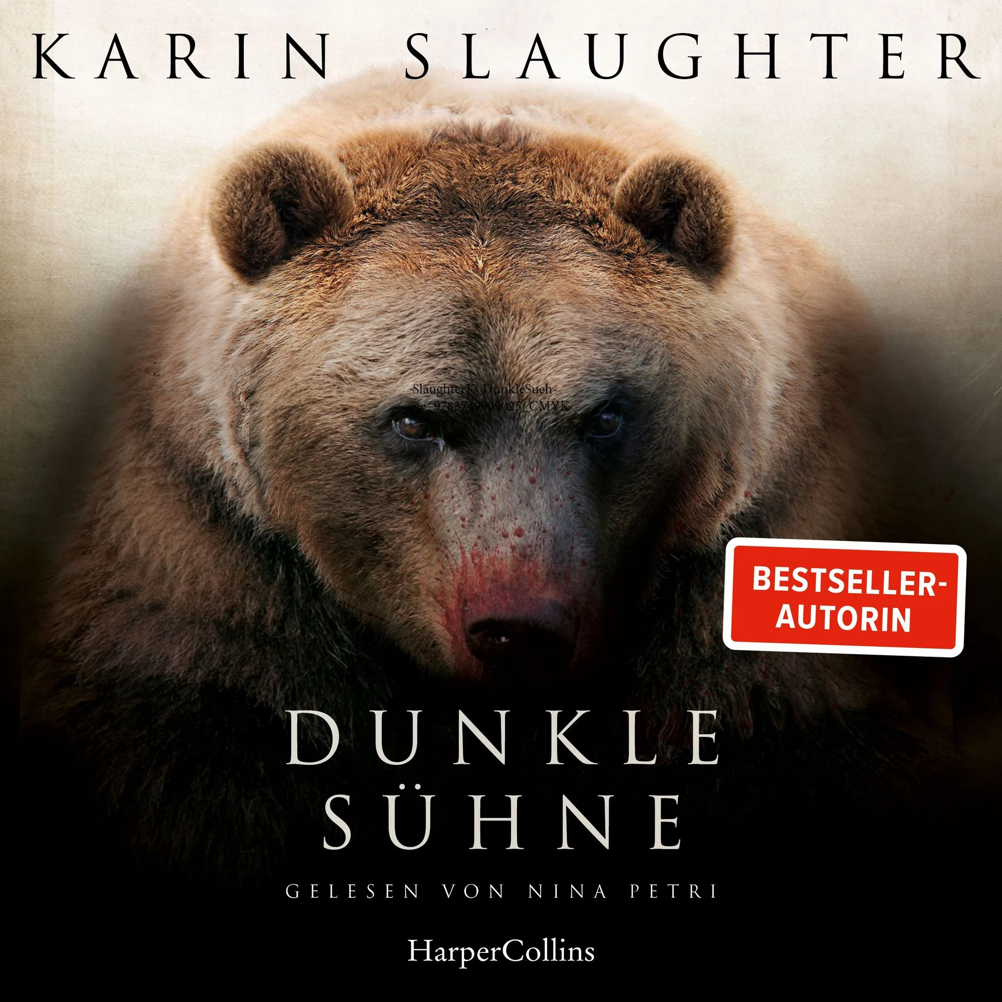 Dunkle Sühne  Hörbuch