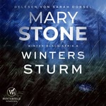 Winters Sturm