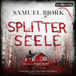 Splitterseele