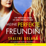 Meine perfekte Freundin Hörbuch