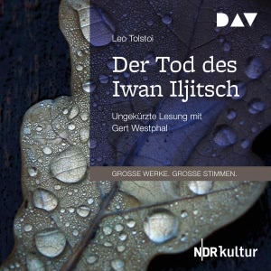 Der Tod des Iwan Iljitsch Hörbuch