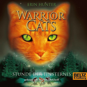Stunde der Finsternis Hörbuch