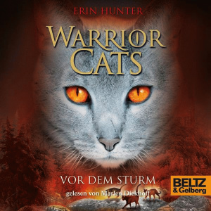 Vor dem Sturm Hörbuch