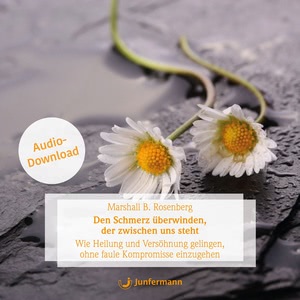 Den Schmerz überwinden, der zwischen uns steht Hörbuch