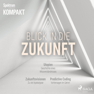 Blick in die Zukunft Hörbuch
