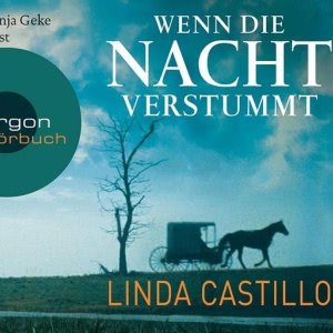 Kate Burkholder, Folge 3: Wenn die Nacht verstummt Hörbuch