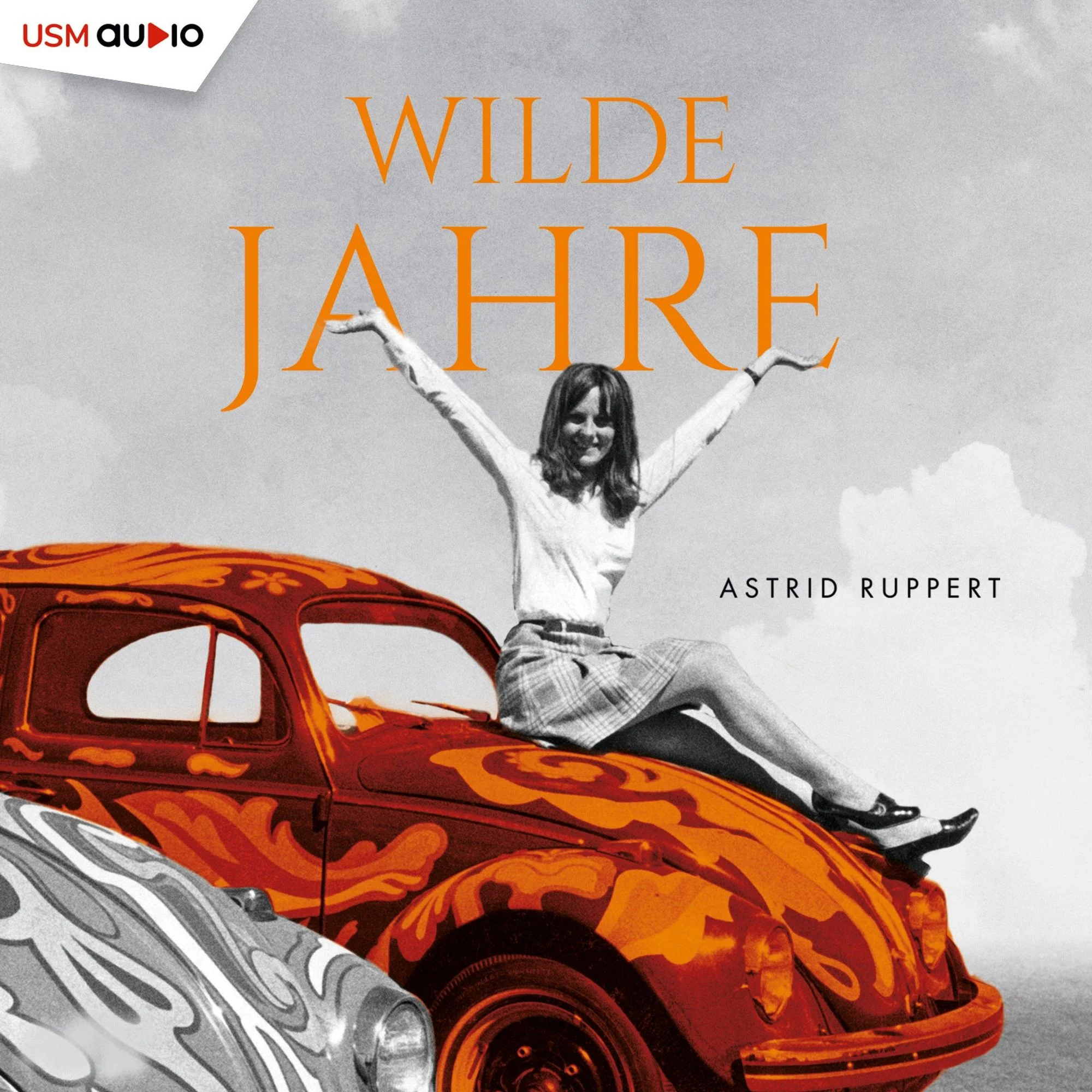Wilde Jahre Hörbuch