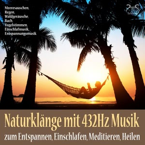 Naturklänge mit 432Hz Musik zum Entspannen, Einschlafen, Meditieren, Heilen Hörbuch