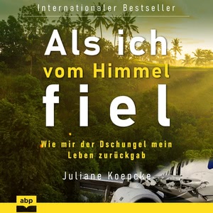 Als ich vom Himmel fiel Hörbuch