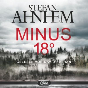 Ein Fabian-Risk-Krimi, Folge 3: Minus 18 Grad Hörbuch