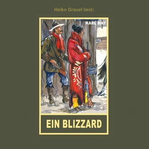 Ein Blizzard Hörbuch