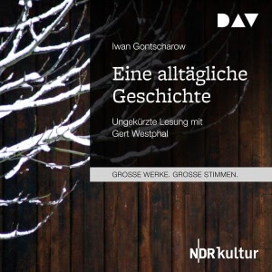 Eine alltägliche Geschichte Hörbuch