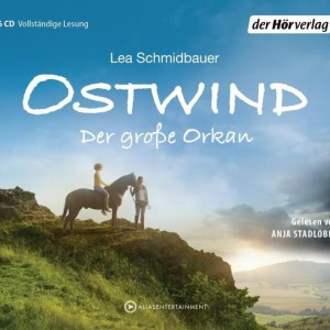 Der große Orkan Hörbuch