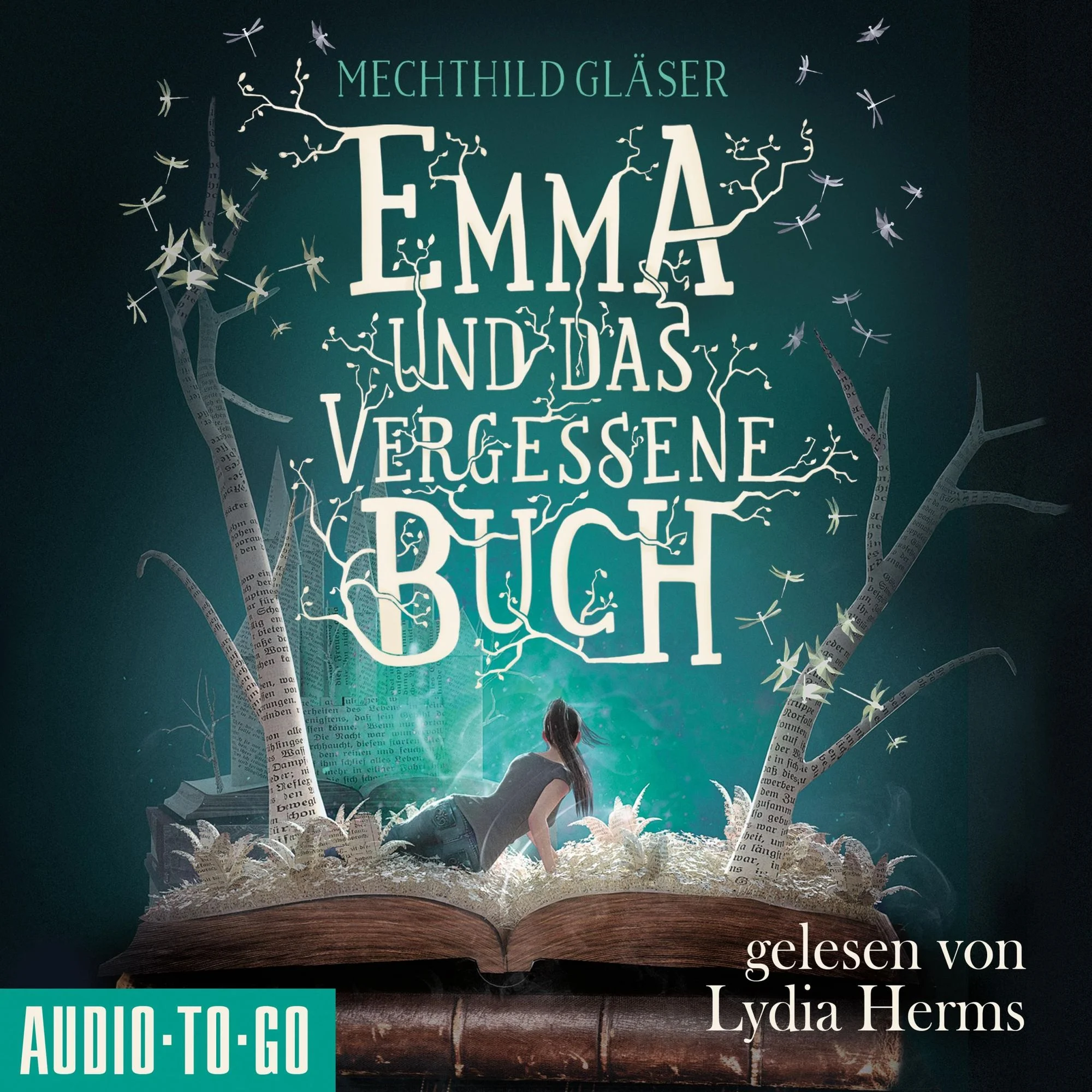 Emma und das vergessene Buch Hörbuch