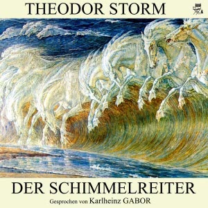 Der Schimmelreiter Hörbuch