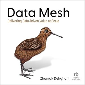 Data Mesh Hörbuch