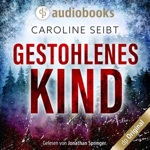 Gestohlenes Kind Hörbuch