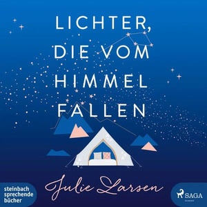 Lichter, die vom Himmel fallen Hörbuch
