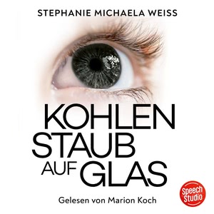 Kohlenstaub auf Glas Hörbuch