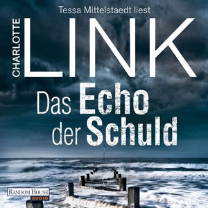 Das Echo der Schuld Hörbuch