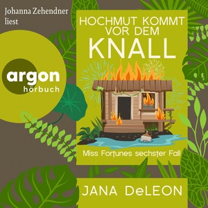 Hochmut kommt vor dem Knall Hörbuch