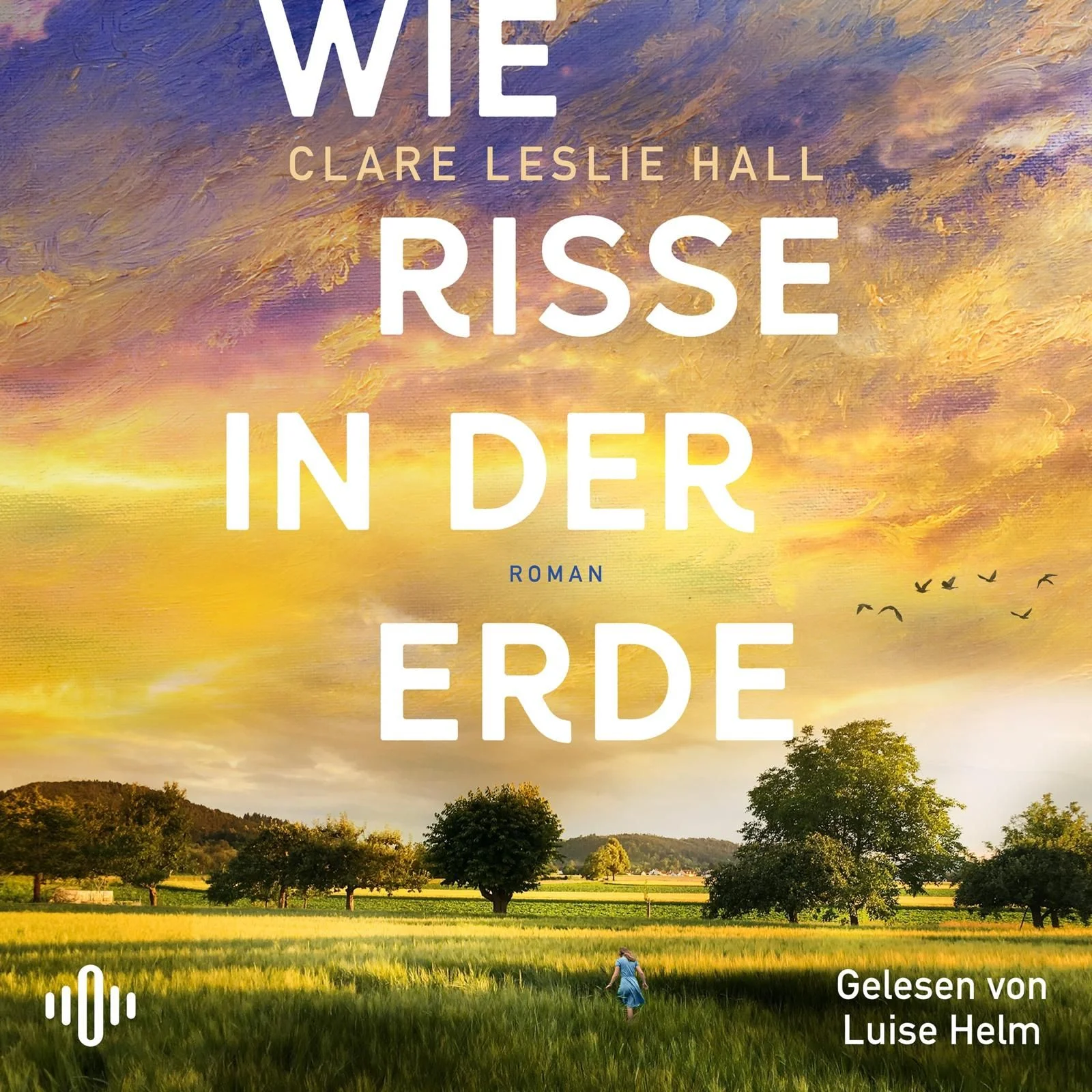 Wie Risse in der Erde Hörbuch