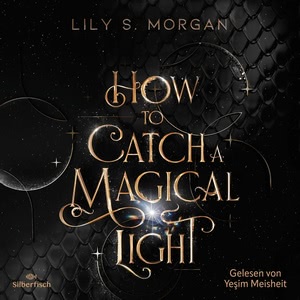 How to catch a magical Light Hörbuch