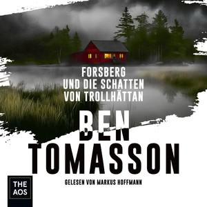 Forsberg und die Schatten von Trollhättan Hörbuch