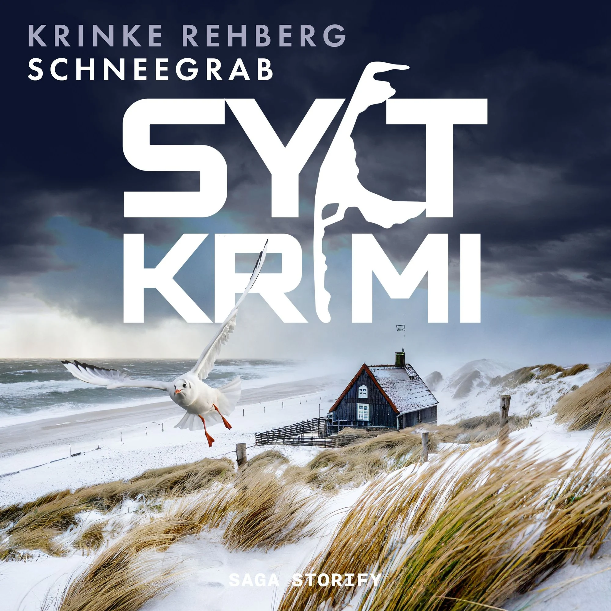 Schneegrab Hörbuch