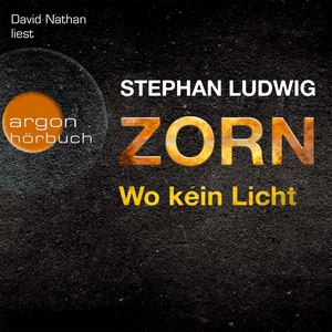 Zorn - Wo kein Licht Hörbuch