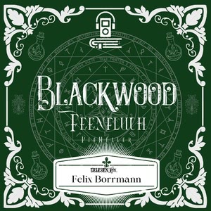 Feenfluch Hörbuch