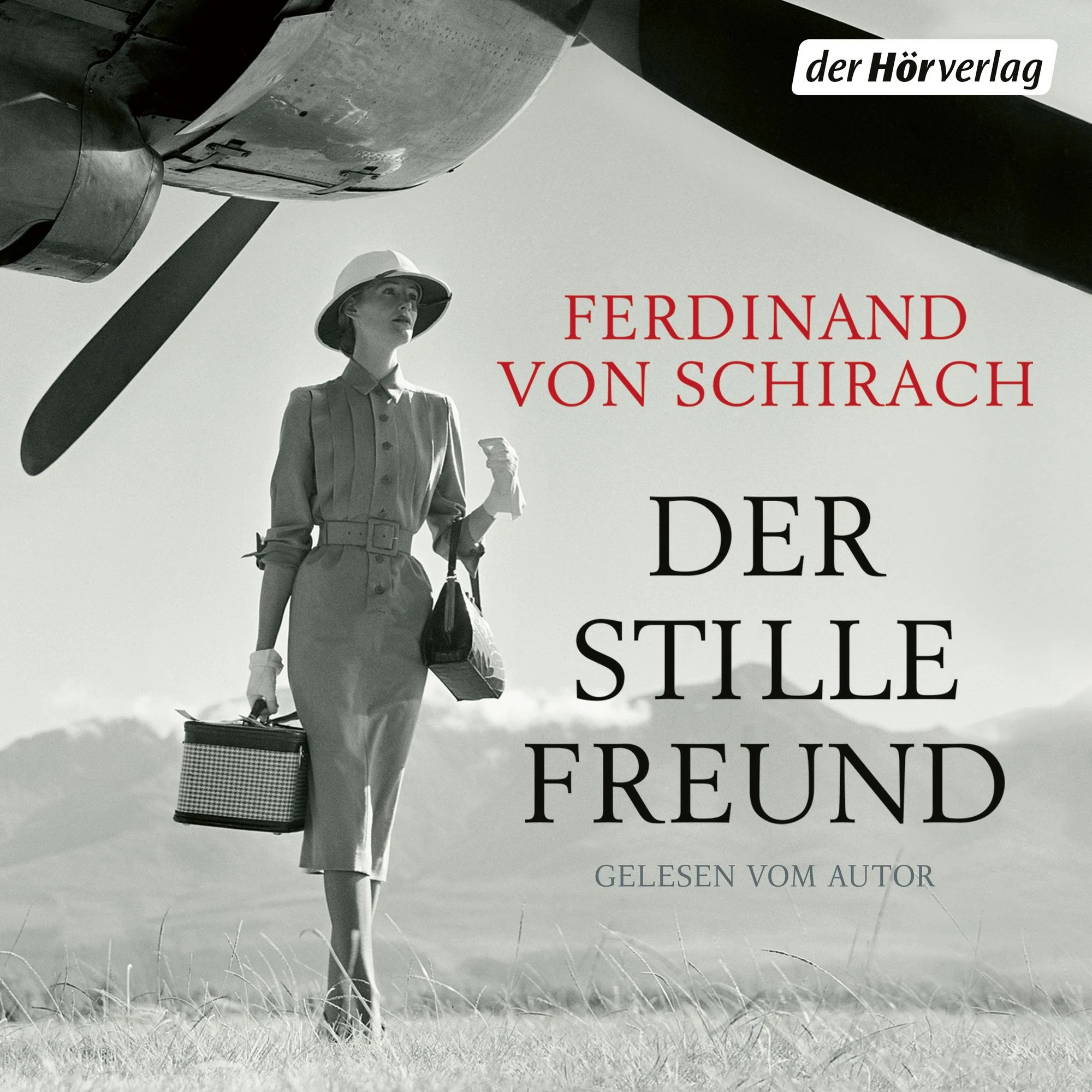 Der stille Freund Hörbuch