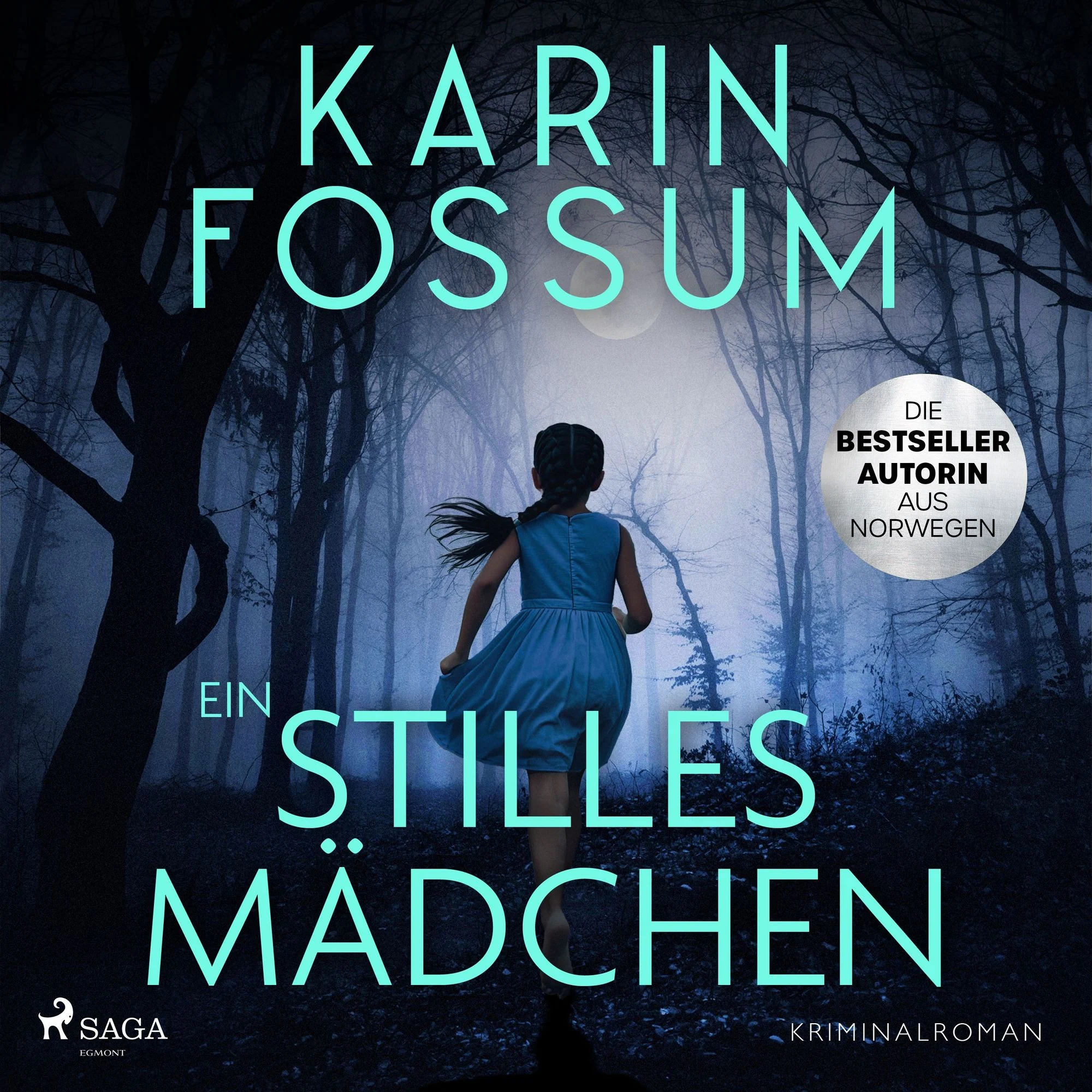Ein stilles Mädchen Hörbuch