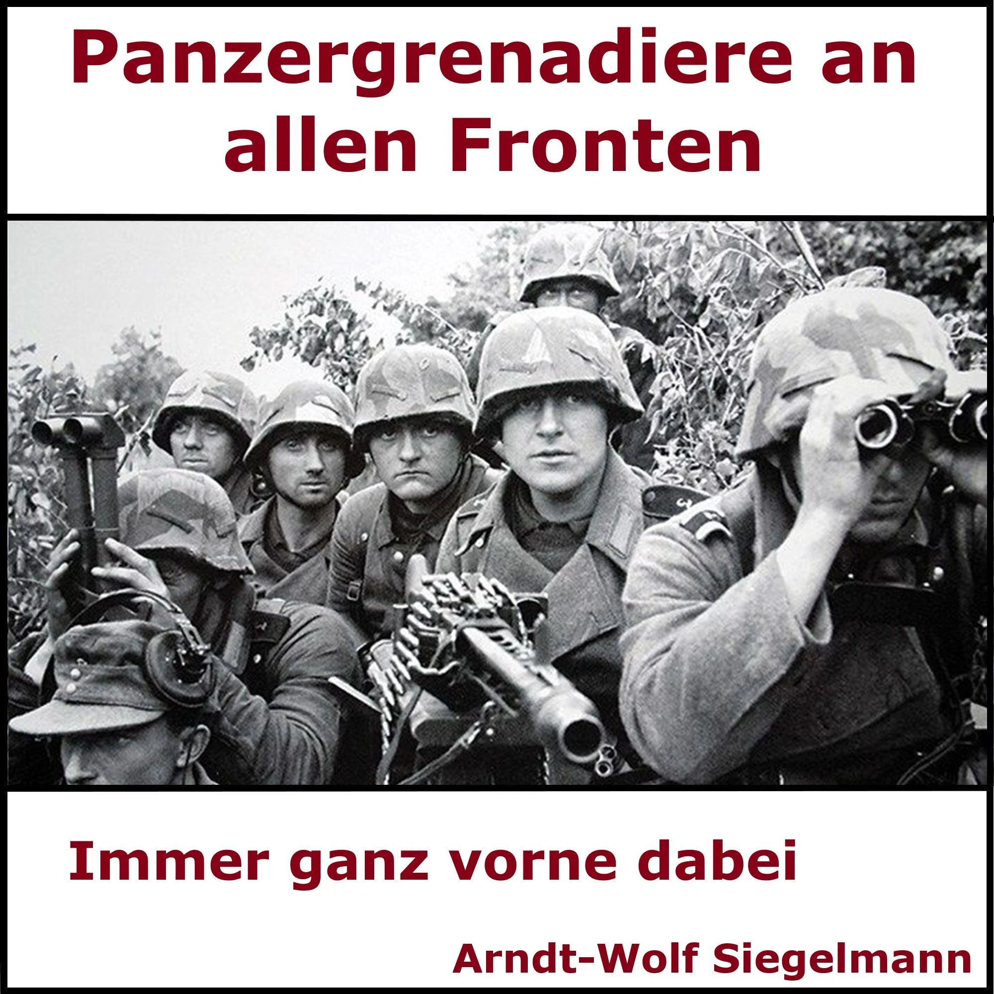 Panzergrenadiere an alle Fronten - Arndt Wolf Siegelmann Hörbuch