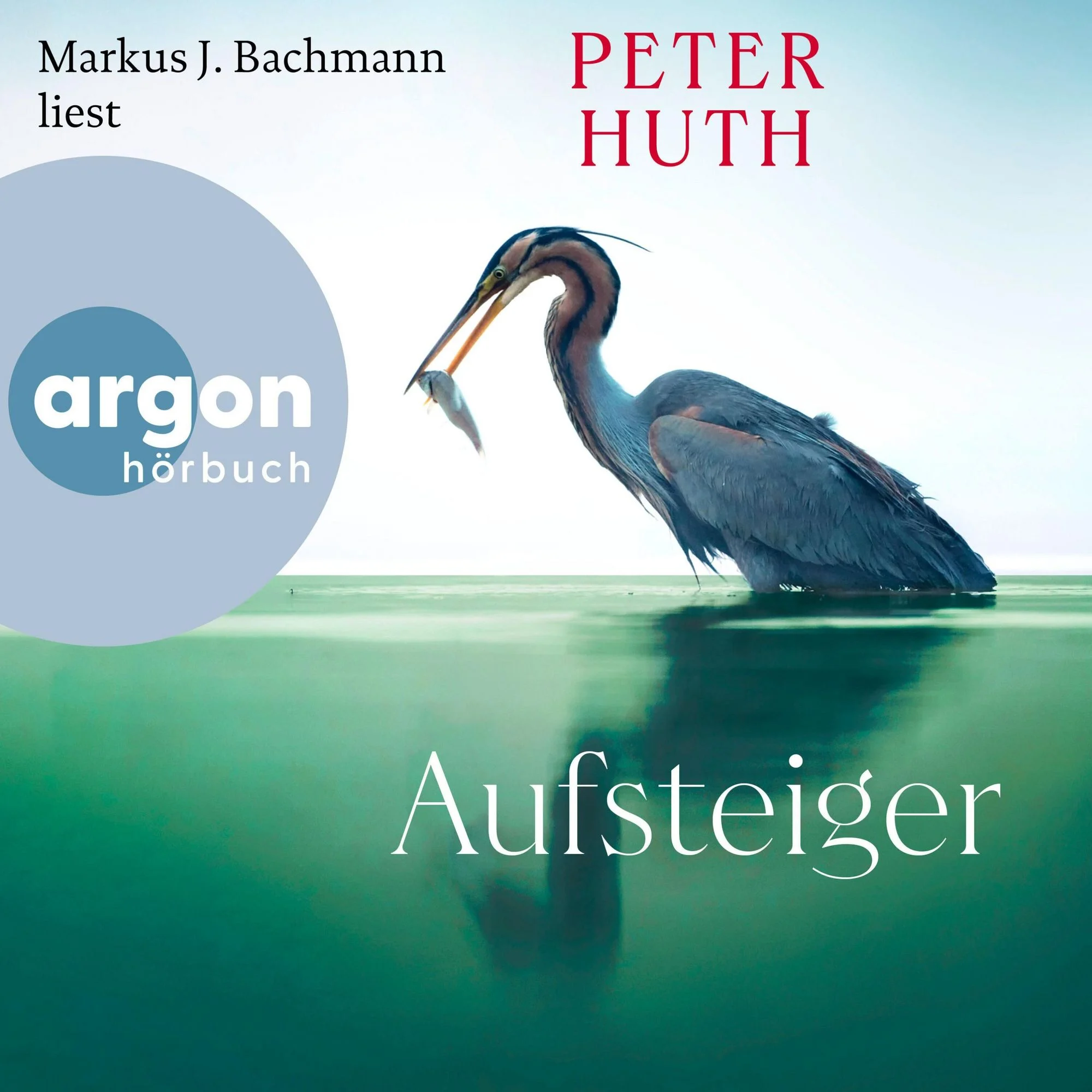 Aufsteiger Hörbuch