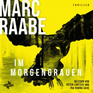 Art Mayer-Serie, Folge 4: Im Morgengrauen Hörbuch